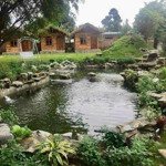 Bán gấp homestay đang hoạt động tại vân hoà, ba vì sinh luôn dòng tiền.diện tích3161,6m giá chỉ 4 triệu/m2