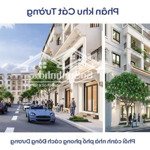 Tổng hợp giá - vị trí và chính sách phân khu cát tường - vin cổ loa tháng 1/2025