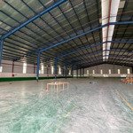 Cho thuê 3.000m2 kho xưởng ngoài kcn bàu bàng bình dương. giá 170tr/tháng