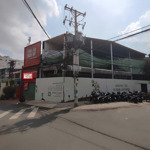 Cho thuê mt trường sơn (k. bắc hải) p. 15 quận 10 giá 44 triệu 100m2