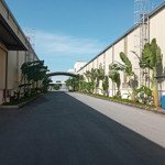 Cho thuê kho, xưởng khu bình giang, hải dươngdiện tích1000m2 đến 150.000m2 khuôn viên riêng biệt.