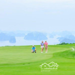 Chuyển nhượng dự án sân golf 18 hố flc hạ long golf club & resort quảng ninh