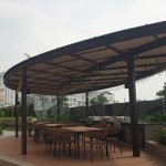 Cho thuê căn hộ celesta rise,mặt tiềnnguyễn hữu thọ, phước kiển, nhà bè, 80m2, 9. 9 triệu/ tháng