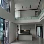 Cho thuê căn duplex tầng cao view thoáng giá 17triệu , rẻ nhất thị trường