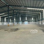 Cho thuê kho xưởng 6000m2 trong khu công nghiệp tân quy tân thạnh đông củ chi