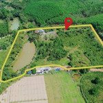 Bán nhà vườn hòa ninh 15.000m2. có sẵn ao hồ, nhà c4, vườn cây ăn quả