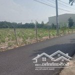 Chính chủ cần bán 165m2 đất tân hòa phú mỹ. nằm ngay hội bài châu pha