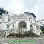 Cho thuê căn biệt thự quận long biên rộng 1300m2 sân vườn đẹp nội thất xịn cho ở, kinh doanh