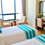 Chủ bán nhanh khách sạn biển mỹ khê dòng tiền tốt 10%/năm, giá đầu tư chỉ 4xx tỷ