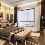 Bán cc tại vinhomes times city - park hill, 7,8 tỷ, 95m2, hàng hot bao đẹp