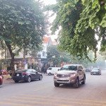 Ban nhanh biệt thự mặt phố bùi thiện ngộ, đt việt hưng, long biên, hn