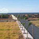 Bán lô đất đối diện bãi tắm quất lâm diện tích 100m2 thích hợp mua để ở hoặc đầu tư