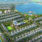 Cho thuê biệt thự lk 96 m2, có thang máy tại nguyệt quế 12-37, vinhomes the harmony.