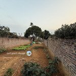 Bán đất nam phương tiến, chương mỹ, hà nội, 100m2, sổ đỏ chính chủ giá chỉ 1,25 tỷ
