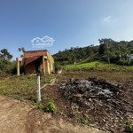 Cần bán mảnh đất nhỏ 147m2 full thổ cư . có nhà cấp 4 nhỏ . giá rẻ . phù hợp đầu tư hoặc ở