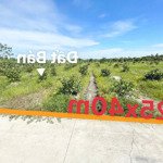 Bán 1000m2 lúa 25x40m mặt tiền đường đan ôtô 3m cách tỉnh lộ 827b 400 m gần ubnd cty đại lục