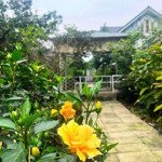Nhà vườn nho nhỏ xinh xinh cho anh chị yêu thiên nhiên