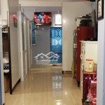 Dòng tiền 20tr/tháng, homestay đề thám quận 1, 52m2, sổ hồng riêng, gấp bán