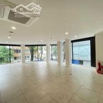 Thật chỉ 260 triệu/tháng cho thuê tòa nhà hầm 10 tầng 8x20m. mặt tiền 3/2- sư vạn hạnh, p.12, q.10