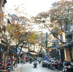 Nhà mặt phố thuốc bắc - hàng cá - khu buôn bán sầm uất - 79m - 5 tầng - 72 tỷ