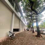 Cho thuê mbkd có vỉa hè, dtsd 240m2 mặt tiền 12m đẹp nhất hoàng quốc việt, cầu giấy