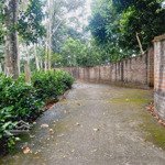 Lô đất nghỉ dưỡng bám hồ tại thôn 3, ba trại, ba vì, hn giá chỉ chỉ nhỉnh 1tr/m2 đất thực tế thôi ạ