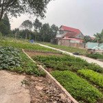 Chính chủ cần tiền bán mảnh đất vân nam dt 42,4m cách ô tô vài bước chân