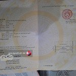 Bán lô đất mt phạm thận duật - tđc tân trà ̣ ́nằm gần công viên