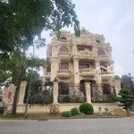 Căn 400m2 giá đất chưa đến 80 triệu dự án the phoenix garden đan phượng