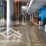 Chính chủ bán nhà 2 mặt tiền quốc hương, p. thảo điền, q2, (12x33m) gpxd: hầm 7 tầng. giá 90.2 tỷ