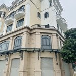 Cặp shophouse siêu kinh doanh mặt tiền rộng 15m cạnh bệnh viện vinmec- ocean park 2