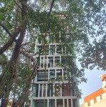 Bán khách sạn mặt phố hàng hành, dt 50 m2 x 10 tầng thang máy
