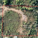 Cần chuyển nhượng lô đất với diện tích 1,1ha trong đó có 1600m2 đất thổ cư dt còn lại là đất cây