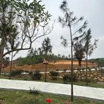 Gia đình em có mảnh đất 2000m2 nay muốn cắt bán 100m2 đến 200m2