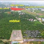 Bán đất tặng nhà đối diện chợ mới lộc đức, 1000m2 sẵn 200m2 tc, giá chỉ hơn 800 triệu
