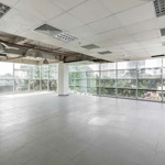 Cho thuê văn phòng hạng b 146 nguyễn đình chiểu quận 3 dt 478m2 2 hầm 14 tầng đẹp và rẻ nhất quận 3