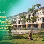Shophouse centa riverside vsip bắc ninh cơ hội kinh doanh & đầu tư sinh lời