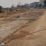 Bán lô đấu giá x3 tam đồng - mê linh 3 mặt tiền. giá đẹp, sẵn sàng giao dịch