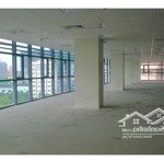 Cho thuê văn phòng, showroom tầng 1+2 tại hoàng cầu, diện tích từ 640 m2 - 1320 m2, giá ưu đãi