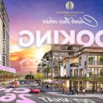 Cực hot ! nhận booking shophouse khối đế, phân khu the rio, biệt thự của sunponte giảm tới 3%