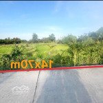 Bán 1000m2 lúa được chuyển full thổ 14 x70 m, đường đan ô tô 4 m, cách tỉnh lộ 827b 150 m