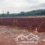 Bán đgts đất tại tđ 535 xã sông xoài, thị xã phú mỹ, tỉnh bà rịa - vũng tàu