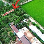 Trung tâm hành chính xã suối cát, 502m2 giá chỉ 1 tỷ 250 triệu. liên hệ: 0333039068