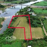 Bán đất view sông cu đê hòa bắc, 2400m2 có 600m2 đất ở giá rẻ