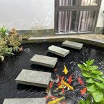 Lô góc kẹp kiệt, thông các trục đường xương cá thành phố phan tứ, ngũ hành sơn dt 105m2 chỉ 10 tỷ