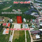 Bán đất 1051m2 sẵn thổ cư thuộc lộc thanh_ tp bảo lộc
