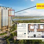 Gấp bán căn hộ nội bộ cđt góc view đẹp, thoáng mát, siêu hời.