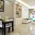 Cho thuê căn hộ chung cư centra plaza, 91 phạm văn hai, 65m2, 2 phòng ngủ 11 triệu/th nhà ntcb