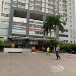 Cho thuê cc mini 3 phòng ngủ 2 vệ sinh 105m2 tại the morning star plaza, 16,5 triệu vnd