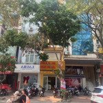 Cho thuê mặt bằng tại phố lê thanh nghị -khu vực sầm uất, kinh doanh siêu đỉnh